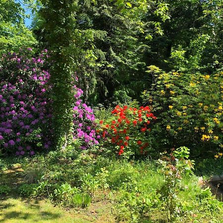 Ferienhaus Hudemuehlen Keine Monteure Hodenhagen Εξωτερικό φωτογραφία