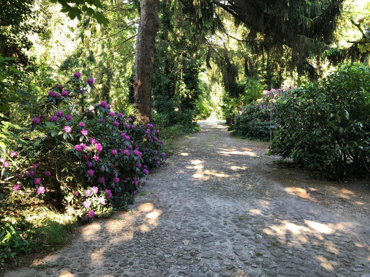 Ferienhaus Hudemuehlen Keine Monteure Hodenhagen Εξωτερικό φωτογραφία