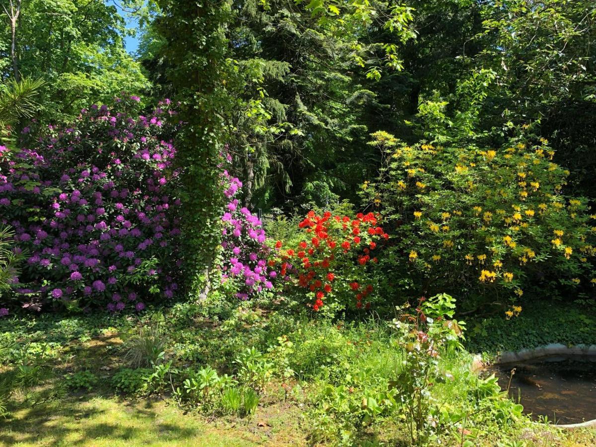 Ferienhaus Hudemuehlen Keine Monteure Hodenhagen Εξωτερικό φωτογραφία